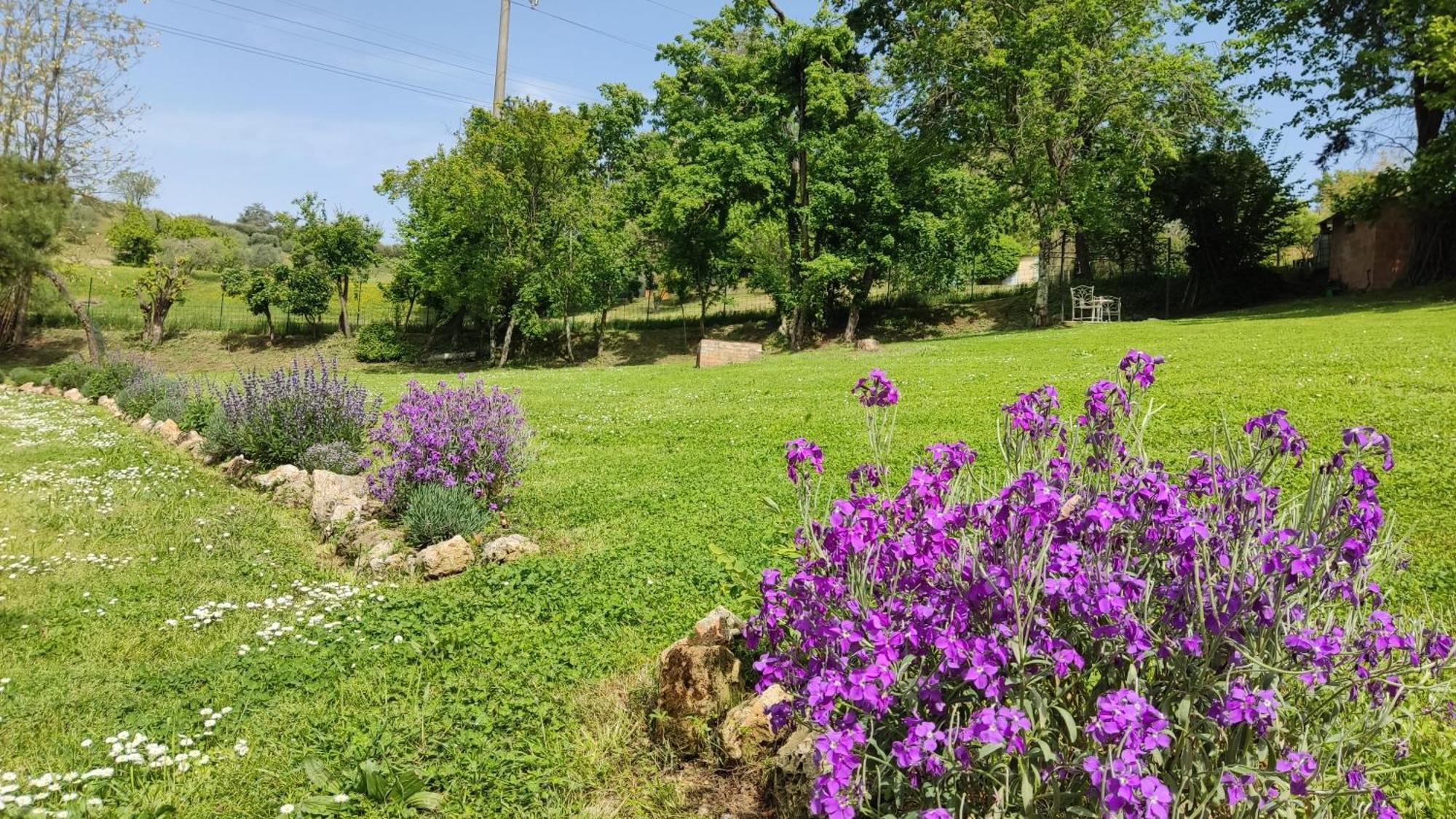 Agriturismo Le Grondaie Siena Exterior foto